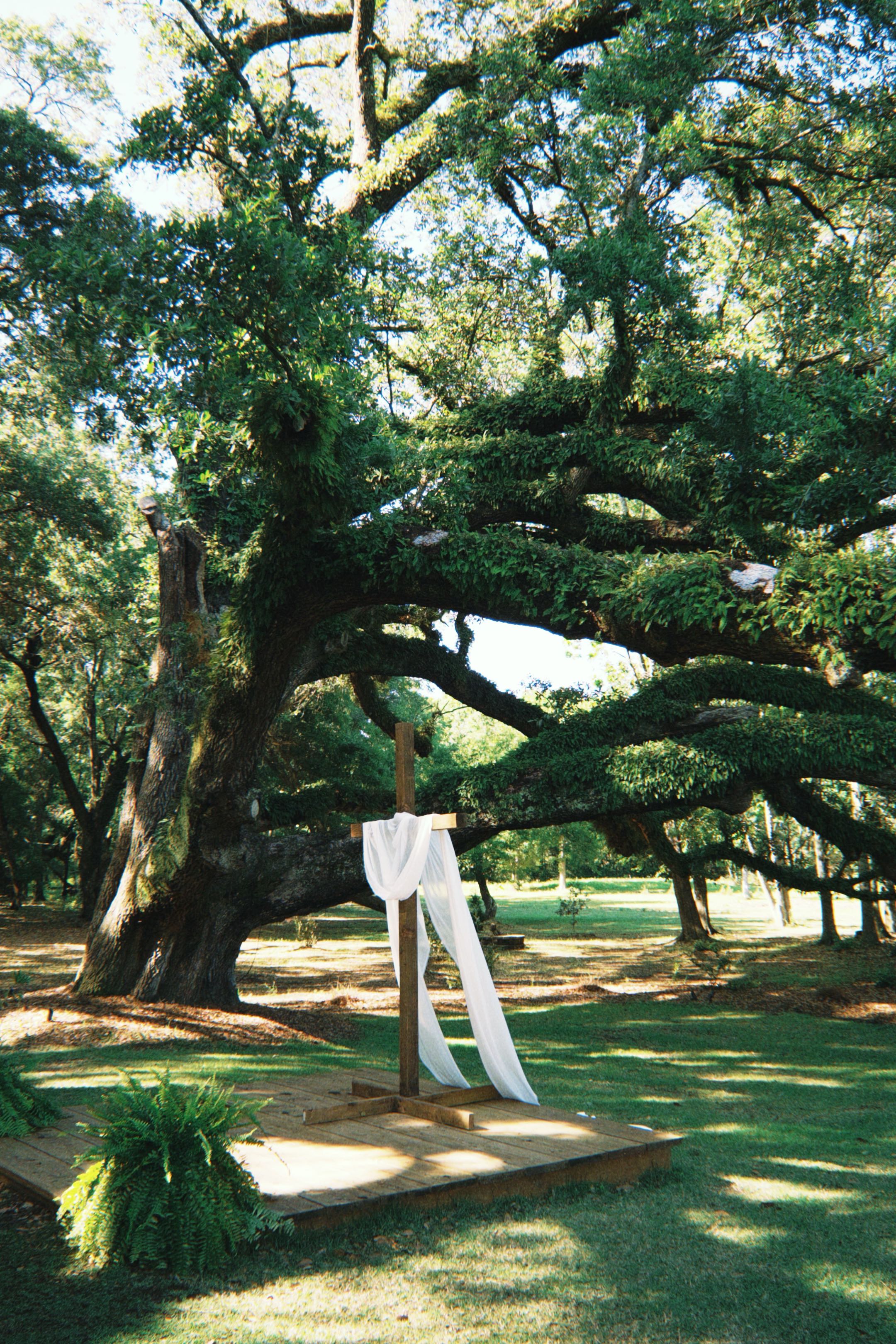 Venue, photo 5